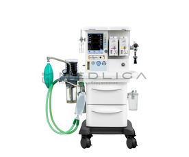 MS Westfalia Maja X55