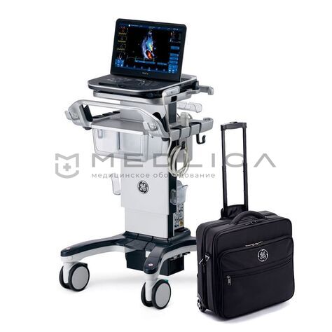 GE Healthcare Vivid iQ, 3