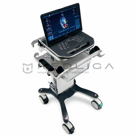 GE Healthcare Vivid iQ, 4