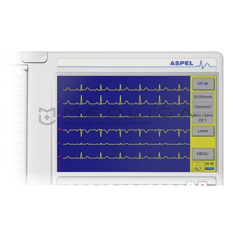 ASPEL AsCARD Grey v.305, 3