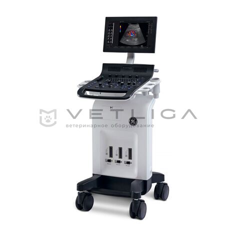 GE Versana Essential