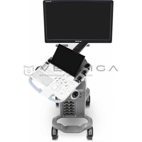 SonoScape ProPet 80, 2