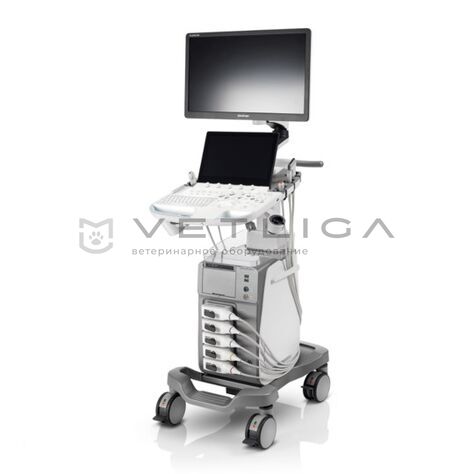 SonoScape ProPet 80, 4