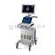 GE Healthcare Vivid S70